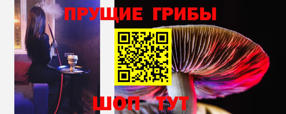 Галлюциногенные грибы ЛСД Чапаевск