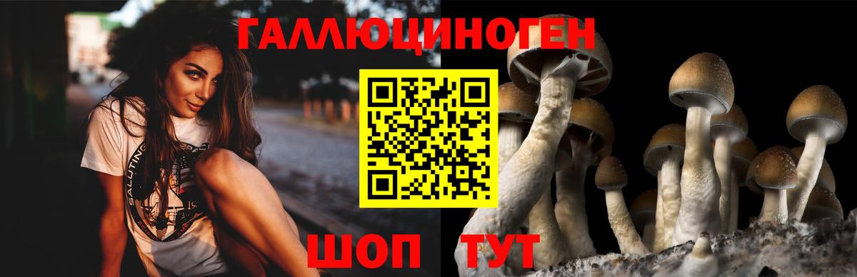 Псилоцибиновые грибы Psilocybe  Псилоцибиновые грибы MAGIC MUSHROOMS  Вход с VPN  Чапаевск 